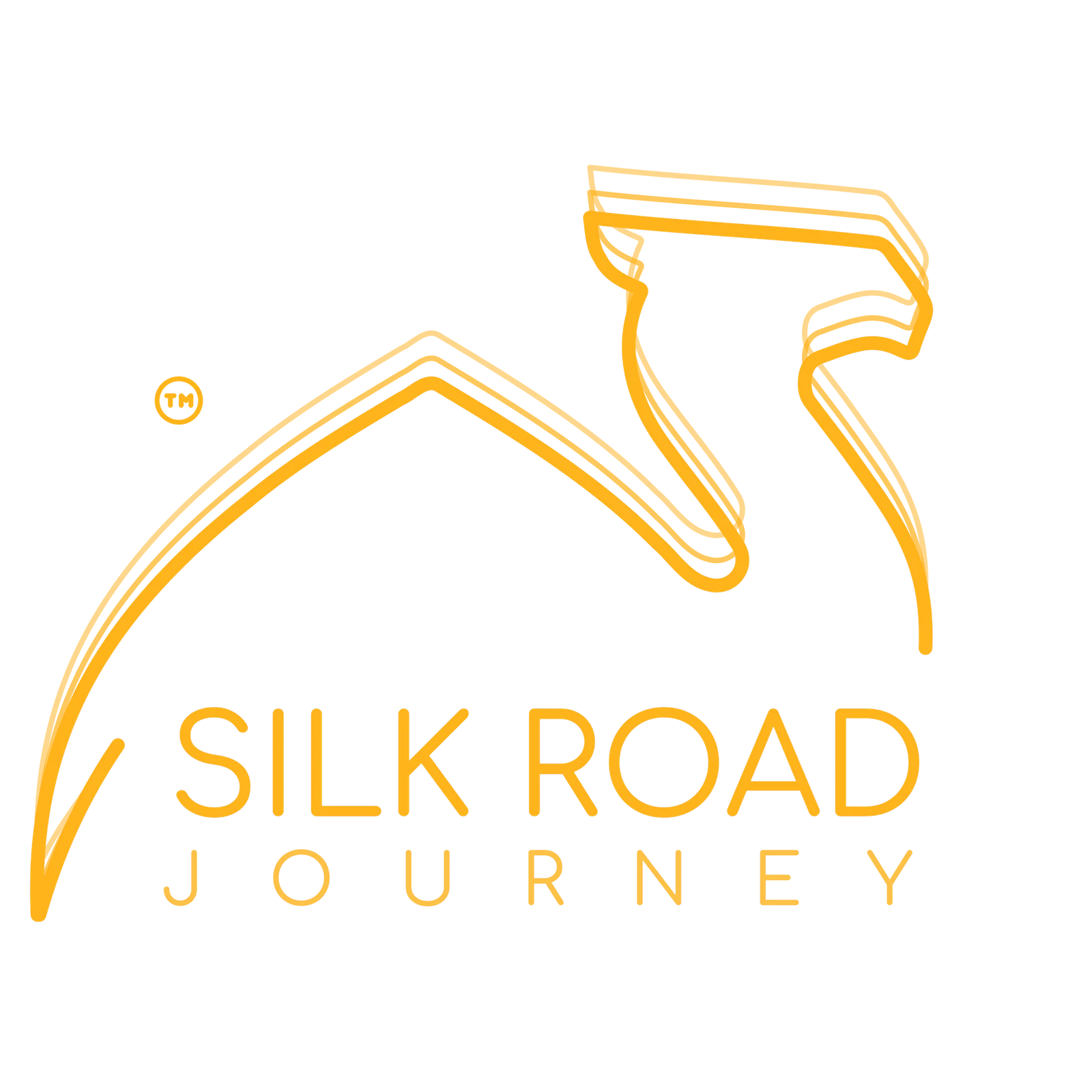 Silk Road Journey
